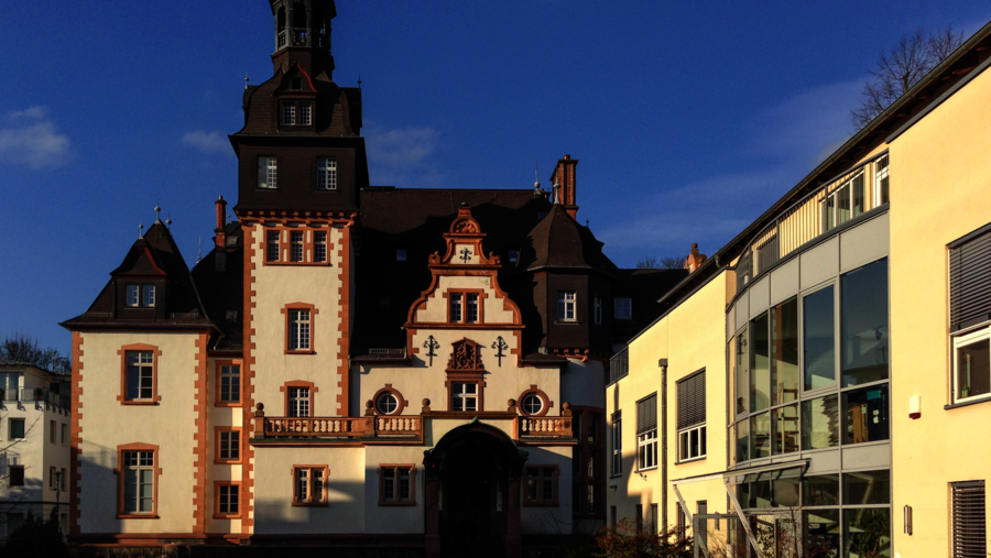 Blick auf die Villa Manskopf und das rechts davor stehende Bürogebäude.