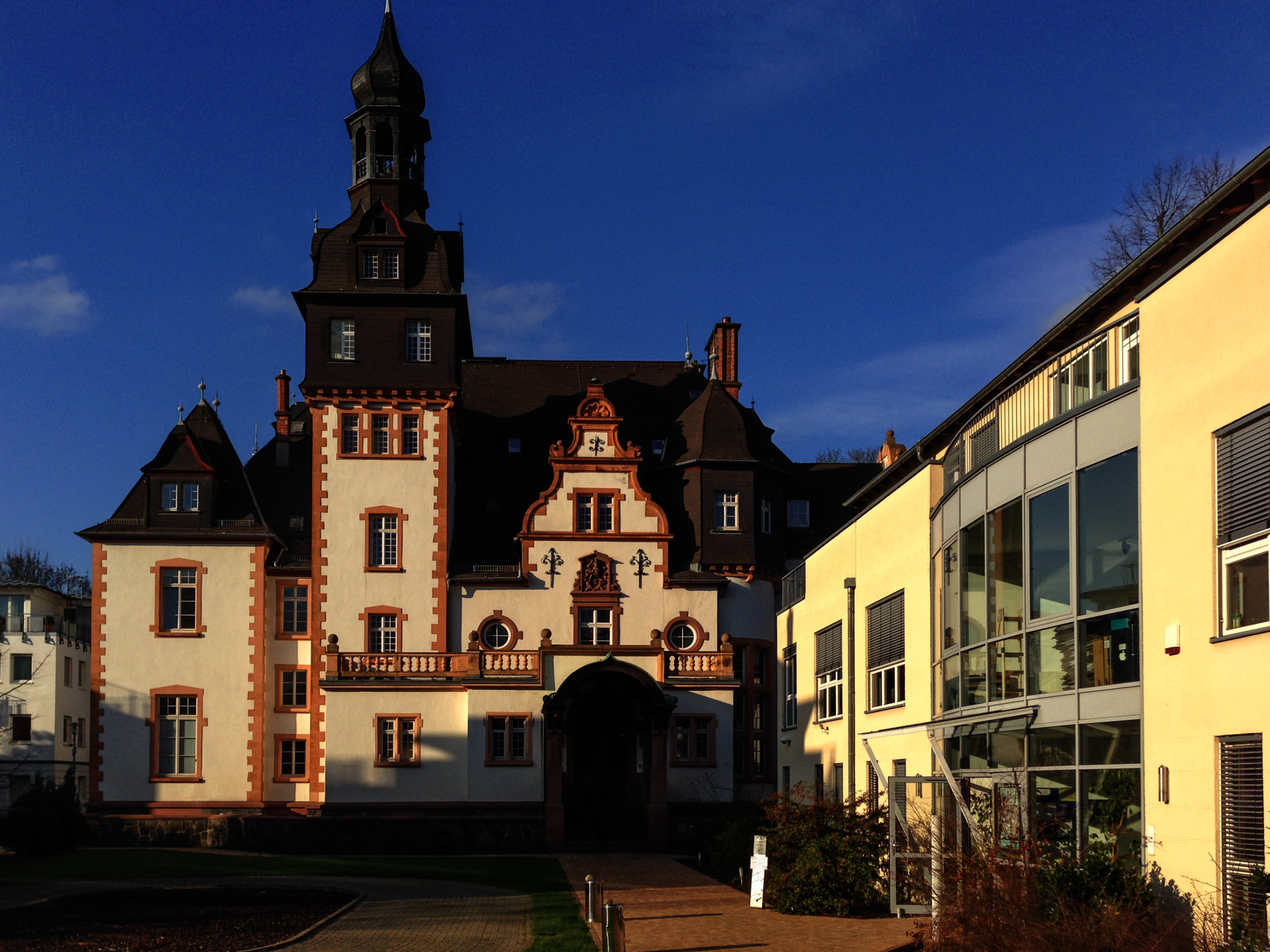 Blick auf die Villa Manskopf und das rechts davor stehende Bürogebäude.